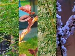 -西安电影制片厂