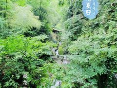 -藏龙百瀑风景区