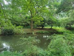 -杭州植物园