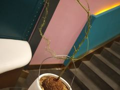 -玄月·SPA按摩泡泡浴(西安路店)