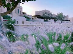 -阿布扎比沙漠皇宫酒店水疗中心