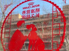 -美联众合爱康动物医院•复杂内科•肿瘤科•牙科•腔镜诊疗中心