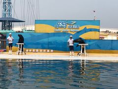 -秦皇岛乐岛海洋王国