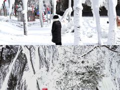 -沂蒙山旅游区云蒙景区(蒙山国家森林公园)