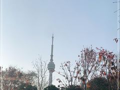 -龟山风景区-龟山电视塔