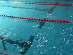 -佳明游泳馆(惠新西街南口店)