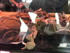 -洪记白水羊头(天坛店)