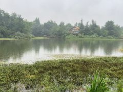 -桤木河湿地公园