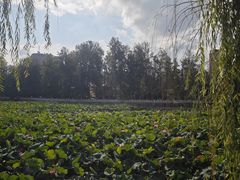 -翠湖公园