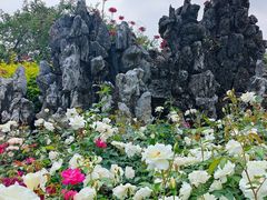 -人民公园(罗湖区)