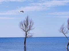-青海湖二郎剑景区