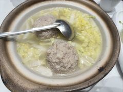 -丁老爷子苏香圆