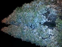 -瑞安圣井山景区