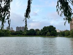 -堤角公园