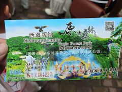 -西双版纳原始森林公园
