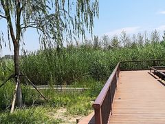-西海子公园