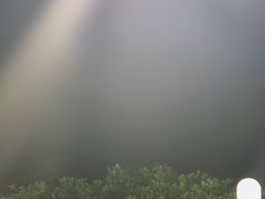 -渔家火锅·海鲜自助餐·演艺(亚龙湾天域酒店)