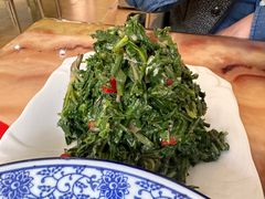 -苏莱特色牛骨滩羊手抓馆(长城东街总店)