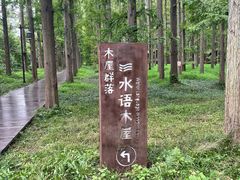 -黄海国家森林公园