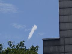 -唐猫庭院·千年陕菜(大唐不夜城店)