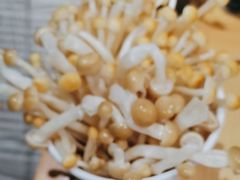 -蛙一刀·麻椒鱼火锅(金仙桥店)