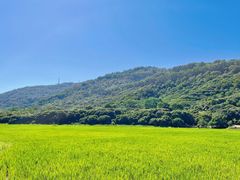 -风云岭森林公园