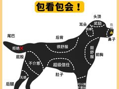 -翊宠yipet猫狗购宠庄园犬舍•猫舍