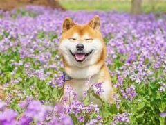 -昆山城市生态森林公园