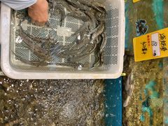 -舌尖上·霞浦滩涂海鲜·新闽菜(总店)