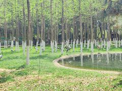 -艾溪湖湿地公园