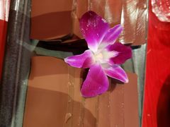 -谭鸭血老火锅(漳州路店)