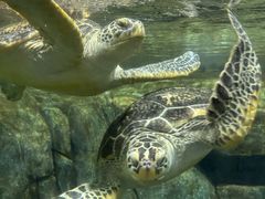 -福州罗源湾海洋世界旅游区