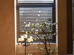 -HUATA 'Holiday Plan 花榻