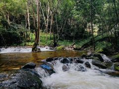 -牛背梁国家森林公园