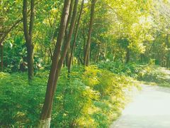 -重庆彩云湖湿地公园