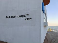 -养马岛旅游度假区