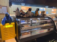 -ZOO COFFEE动物园咖啡(望京锐创店)