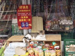 -东山民生市场(南崂路店)