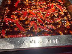 -二荆条·蜀鲜汇城市森林火锅