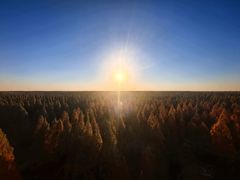 -黄海国家森林公园