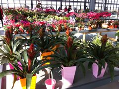 -南通洲际绿博园