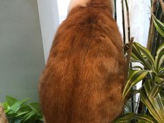 -小时光咖啡馆(北锣鼓巷店)