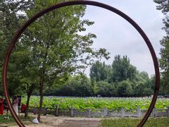 -东升八家郊野公园