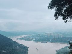 -铁山坪森林公园