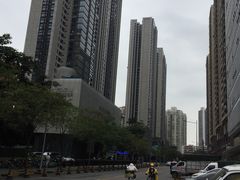 -杨箕村B区