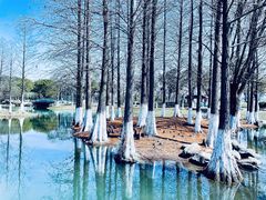 -白塘生态植物园