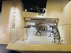 -国家自然博物馆