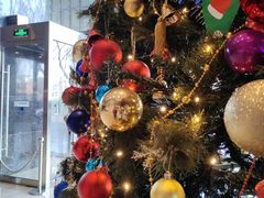 -北京希尔顿逸林酒店