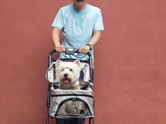 -南岳衡山风景名胜区-南岳大庙