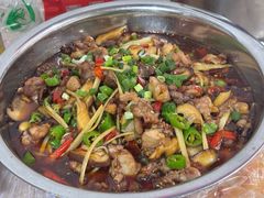 -食神又名厕所兔